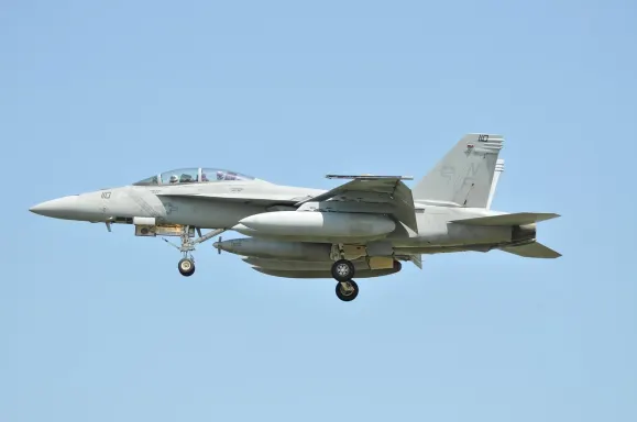 BoVegas Casino Suporte